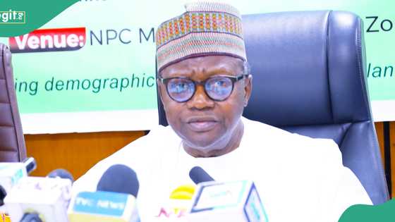 Population Commission to conduct census in 2025? Fresh fact emerges