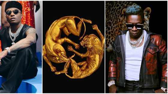 MTV VMA: Africa's Wizkid, Shatta Wale bag nominations for collaborations with Beyonce on Black is King