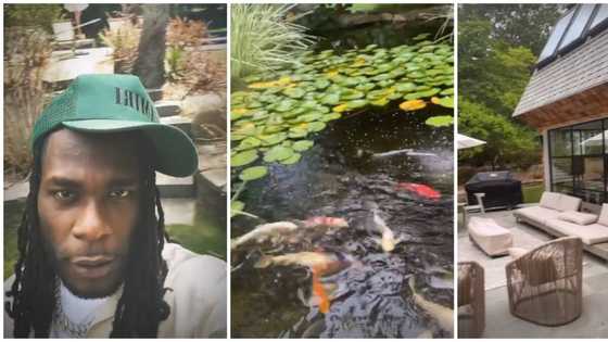 Burna Boy shows off mansion, says 'if your crib doesn't have a pond with fishes, don't play with me'