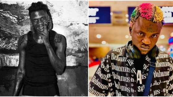 "I'll beat you to stupor, redecorate your teeth": Portable vows to deal with Seyi Vibez over statement