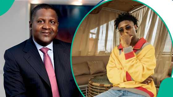 Bella Shmurda opens up on working at Dangote's packaging factory before fame, the salary he earned