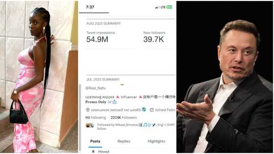 Nigerian Twitter user drags Elon Musk over the 'small' money she was paid, the amount stuns Nigerians