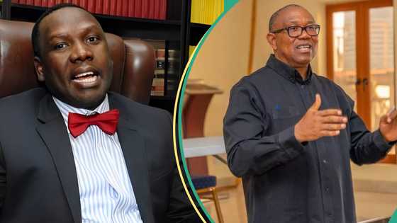 “Nigeria dodged a bullet”: Bwala claims Peter Obi still suffering from 2023 defeat
