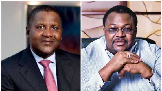 Dangote Group, Globacom and 4 other companies make Nigeria proud in 2020 Africa brands report