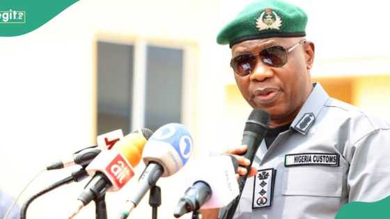 Customs intercept 844 rifles, 112,500 rounds of live ammunition