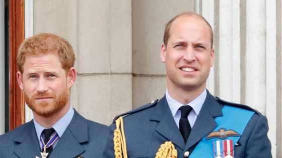 Princess Diana’s Last Wish for Her Sons: Be Best Friends, Never Let Anyone Come Between You