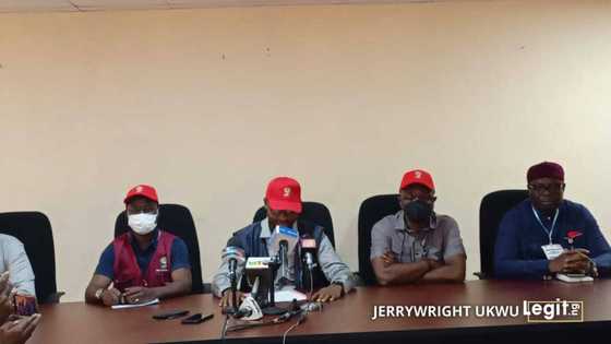 BREAKING: INEC reveals when collation of Anambra governorship election's results will resume