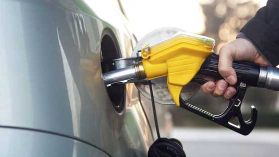 Farashin Litar Man Fetur Zai Iya Tashi Zuwa N400 Kafin Shekara Mai Zuwa