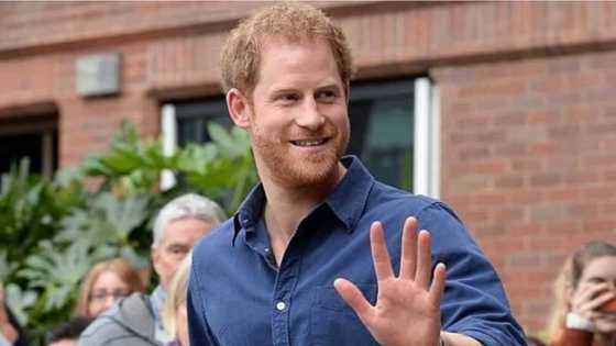 Prince Harry accused of following fame at the expense of Royal Family