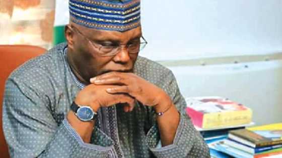 Atiku Abubakar Ya Rasa Jiga-Jigan Yakin Neman Zabensa A Yankin Arewa Maso Gabas