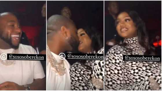 “We are waiting for wedding or breakfast”: Davido and Chioma kiss for the first time in public after reuniting