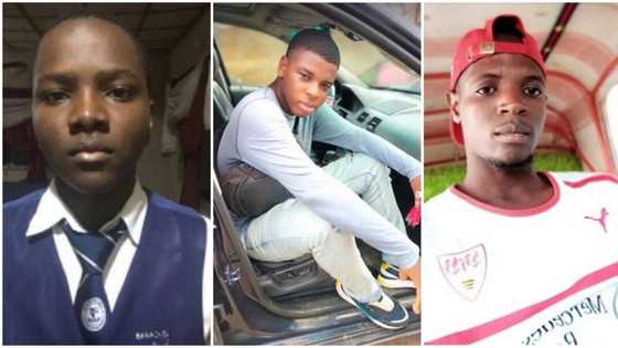 3 JAMB-UTME success stories that rocked the internet this week, one mum joined her son to write