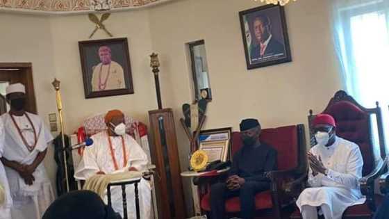 Vice President Osinbajo is a wise man, says Asagba of Asaba