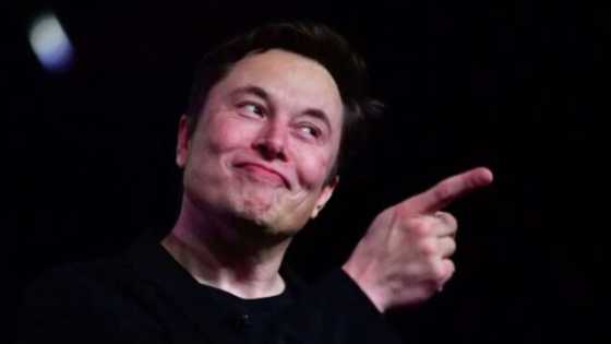 Elon musk, Others beg for suspension of AI coding, as developers compete to build smarter versions of Chat GPT