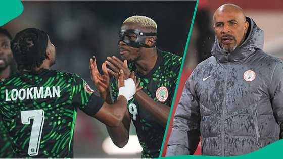 Eric Chelle provides new update on Osimhen and Lookman rift with cryptic post