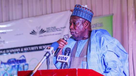 Kano government bans men, women from swimming in same pool, children from entering hotels