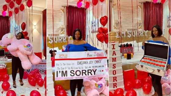 "What did he do?" Mixed reactions as man apologizes to girlfriend with N10 million cash, photos go viral
