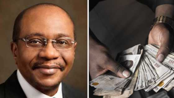 CBN reveals 7,057 youths received N3billion to help their business, with a promise for more