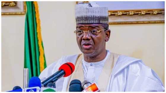 Banditry: How to get gun licence in Zamfara, government shares vital details