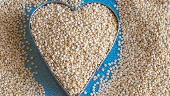 Réussissez la cuisson du quinoa et régalez-vous avec nos recettes