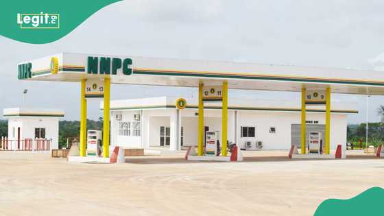 NNPC: Experts finally speak on arrest, mismanagement of more than $2.9 billion for refinery construction