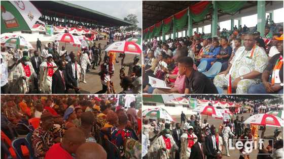 Live update: New defections, dancing governors as PDP begins final rally in Awka ahead of Anambra guber