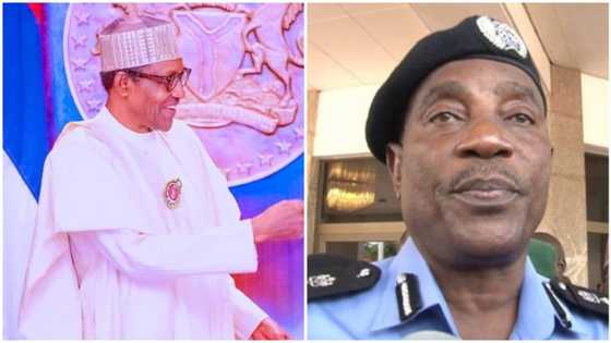 BREAKING: Buhari decorates ex-IGP with new role 2 months to leaving office