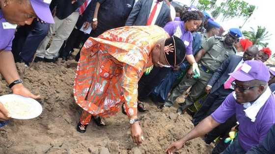 OPINION: In a few years' time, agriculture will become the new oil in Akwa Ibom state