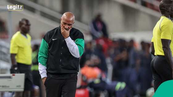 Viral video exposes DR Congo’s technical crew provoking Eric Chelle during Super Eagles’ penalty loss