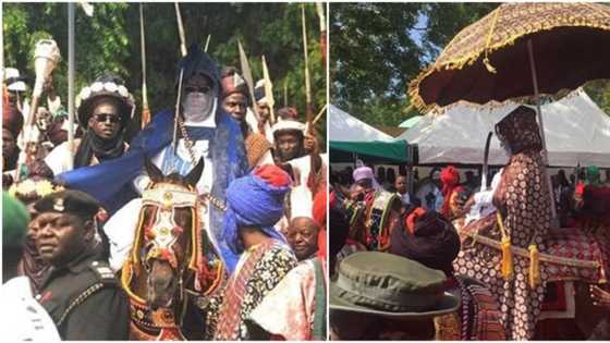 Katsina Emirate bans open grazing, enforces strict compliance