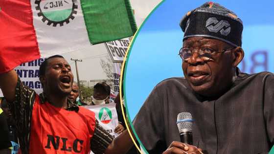 BREAKING: FG says proposed NLC/TUC strike is illegal, gives reasons