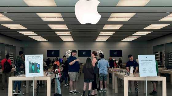 Apple accused of mishandling sex misconduct complaints: report