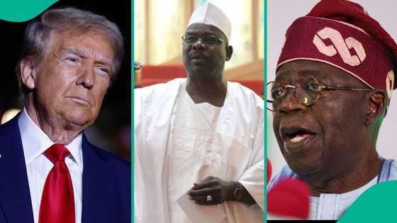 Sokoto bombing: Ndume mentions next place US missile should hit in northern Nigeria