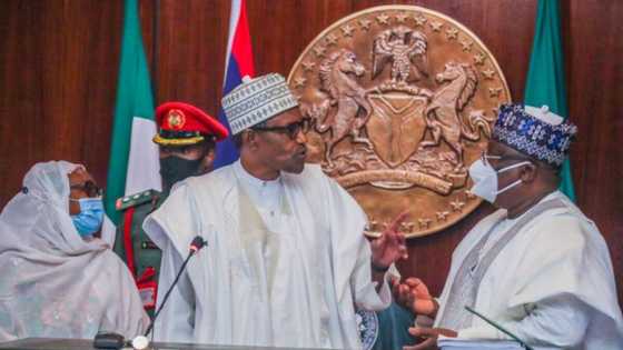 Lack of father figure like Buhari? Senate president reveals why opposition parties are disunited