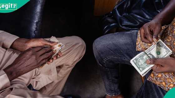 Excitement as dollar, pound, euro exchange rates drop across FX markets