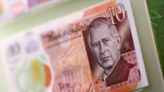 Museum visitors to get first sight of King Charles banknotes