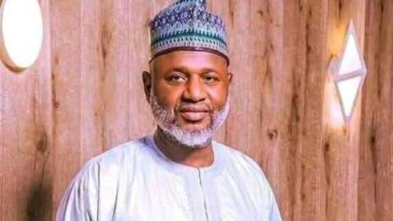 Yariman Bakura Ya Shawarci Gwamnatin Tinubu Ta Yi Sulhu Da Yan Bindiga