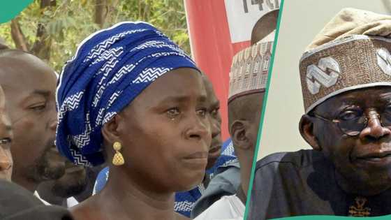 Chibok Girls: CSO lists 4 things Tinubu’s govt must do to ensure security of schools in Nigeria