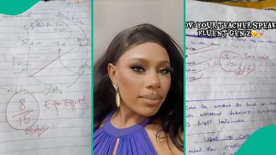 "You're cooked": Reactions trail Gen Z teacher's remarks on her students' notebooks, video emerges