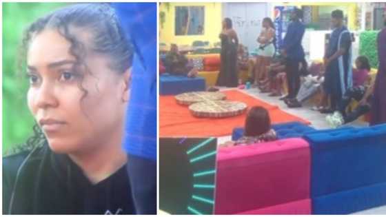 BBNaija fake eviction: Maria forced to pick two housemates to evict, relief as prank is revealed
