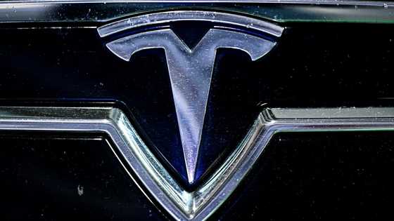 Dozen Teslas torched outside French dealership: authorities
