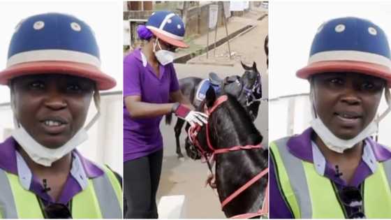 Meet Jemila Bio Ibrahim who rides horse for fun; advises women to embrace horse-riding