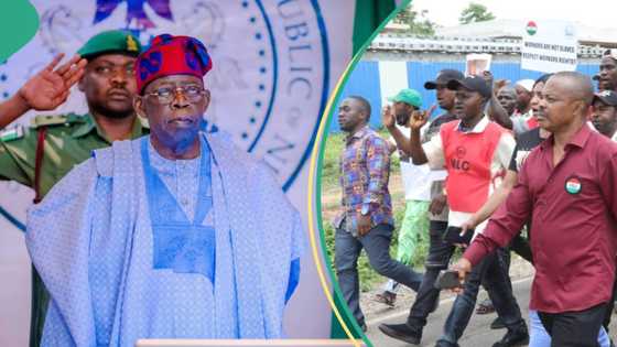 Just In: Labour gives fresh conditions to Tinubu's govt over economic hardship, details surface
