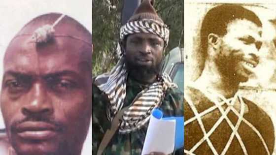 Shekau, Anini, Oyenusi Da Wasu Yan Ta'adda 2 Da Suka Addabi Najeriya