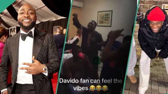 "Dem go feel am": Wizkid FC vow to taunt Davido and his fans for a whole week over Grammy loss