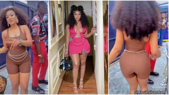 "Why does it look like they have horns": BBN's Chichi blasts Phyna's new BBL backside, calls it bag of cement