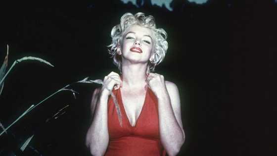 Marilyn Monroe, destin d'exception et mort tragique : sa biographie