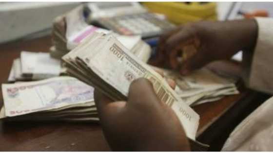 Ekiti 2022: Voter inducement has taken over political campaigns, observer group laments