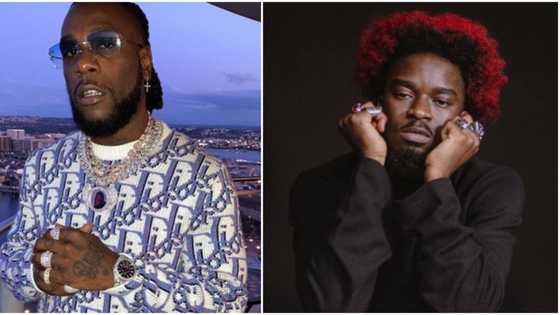 It was because of woman: Man whose friends allegedly got shot by Burna Boy's men finally shares details