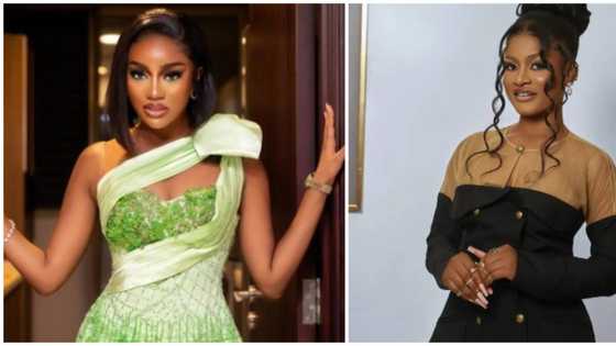 Fans react to video of Beauty and Phyna being cordial towards each other on SA trip